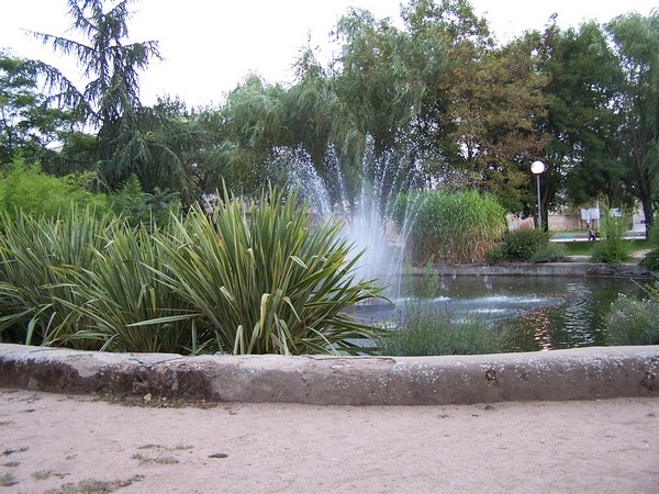 DIR